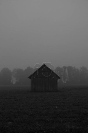 Téléchargez les photos : Une verticale d'une cabane en bois dans un champ par une journée brumeuse prise en niveaux de gris - en image libre de droit