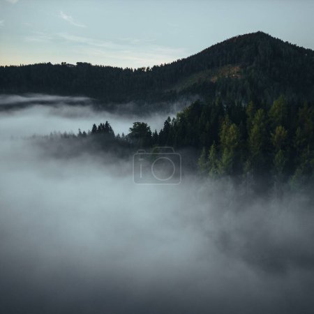 Téléchargez les photos : Une vue aérienne panoramique des forêts et des montagnes par une journée brumeuse dans la ville de Mariazell, Autriche - en image libre de droit