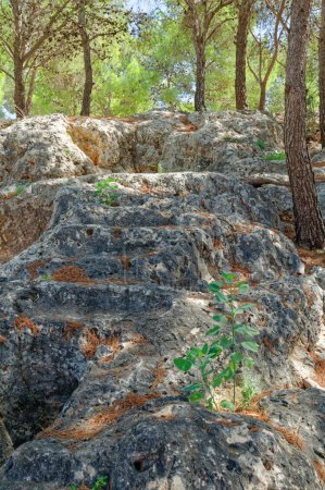 Téléchargez les photos : Un vieil escalier en pierre sculpté dans la roche, Espagne, Province de Valence, Ville de Denia - en image libre de droit