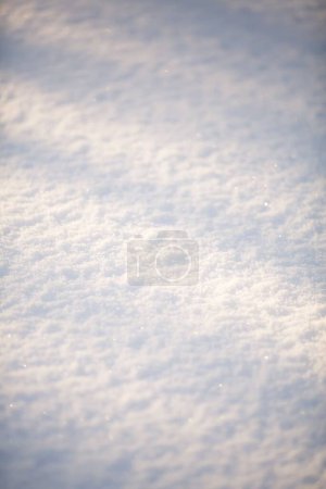 Téléchargez les photos : Un coup vertical de neige et le soleil brille sur le sol blanc par une froide journée d'hiver - en image libre de droit