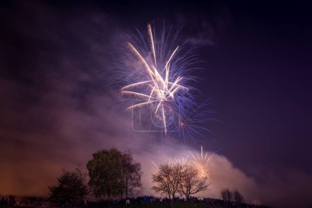 Téléchargez les photos : Un beau coup de feu d'artifice coloré explosant dans un ciel nocturne au-dessus du parc Heaton - en image libre de droit