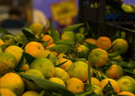 Téléchargez les photos : Mise au point sélective des différentes mandarines vertes oranges dans une boîte à fruits d'un supermarché - en image libre de droit