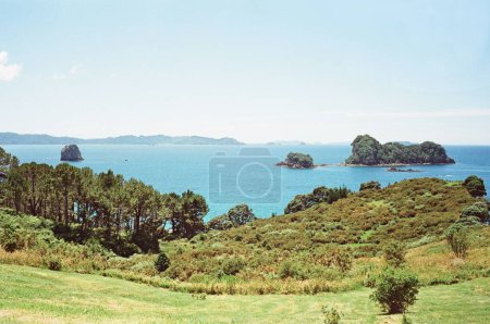 Foto de Una hermosa vista sobre el mar rodeado de árboles verdes y montañas en colores retro - Imagen libre de derechos