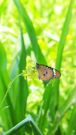 Photo for A vertical shot of a butterfly on green plant against blur background - Royalty Free Image
