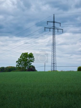 Photo for A single large power pole stands in nature - Royalty Free Image