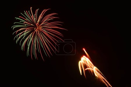 Photo for A beautiful shot of exploding colorful fireworks in a black night sky - Royalty Free Image