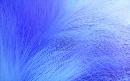 Foto de Un suave pelaje azul esponjoso para el fondo o la textura - Imagen libre de derechos