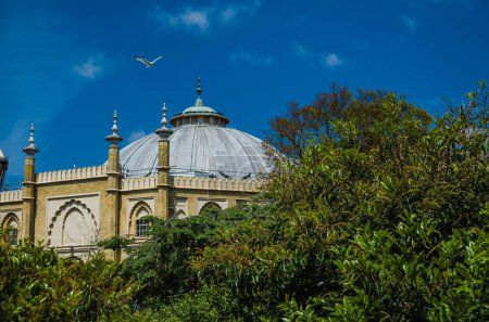 Photo for An aerial view of Brighton museum dome in Royal Pavilion Gardens - Royalty Free Image