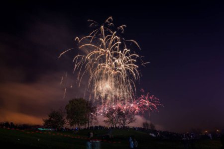 Téléchargez les photos : Un beau coup de feu d'artifice coloré explosant dans un ciel nocturne au-dessus du parc Heaton - en image libre de droit