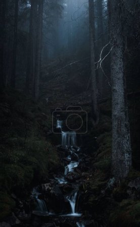 Téléchargez les photos : Plan vertical d'une cascade qui coule dans une forêt sombre - en image libre de droit