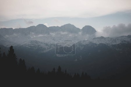 Téléchargez les photos : Un paysage pittoresque de forêts de montagne par une journée brumeuse pendant la journée - en image libre de droit