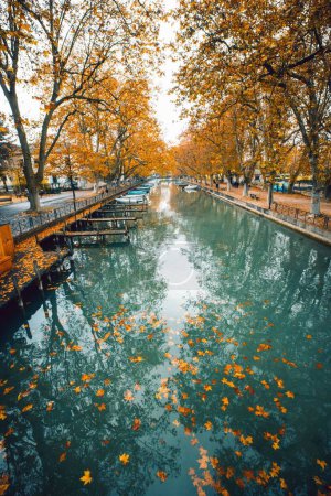 Photo for A scenic vertical shot of a tranquil river surrounded by beautiful autumn trees in a park - Royalty Free Image