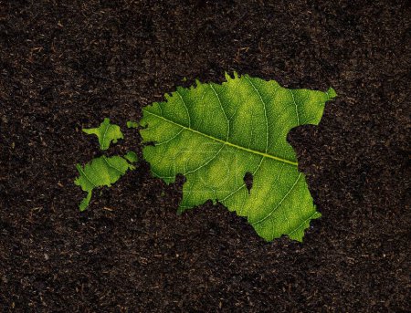 Die Estlandkarte aus grünen Blättern auf Bodengrund, ökologisches Konzept