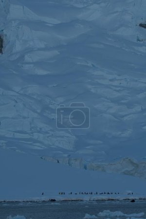 Téléchargez les photos : Une vue aérienne de la mer avec plage enneigée en Antarctique - en image libre de droit