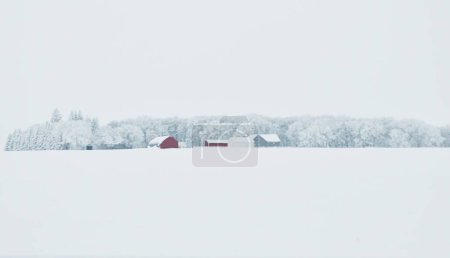 Téléchargez les photos : Une vue panoramique des maisons rurales dans un champ recouvert de neige en hiver - en image libre de droit
