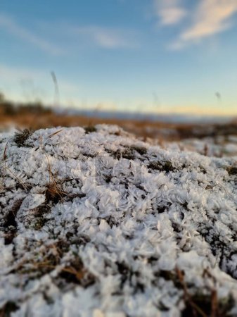 Photo for A selective focus shot of snow covering the ground during winter season - Royalty Free Image