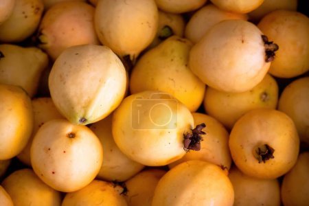 Photo for An overhead shot of tropical fruits in a bunch - Royalty Free Image