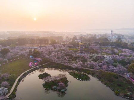 Foto de East Lake Cherry Blossom Park, también llamado Wuhan Moshan Cherry Blossom Park, es un parque en la zona de East Lake del distrito de Wuchang, ciudad de Wuhan, Hubei P - Imagen libre de derechos