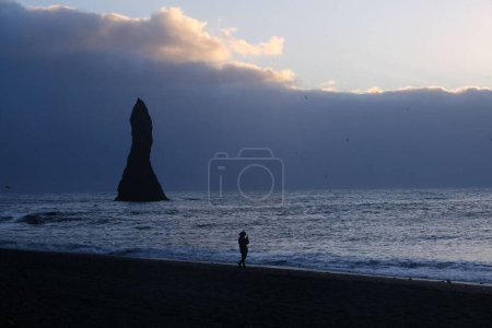 Téléchargez les photos : Une vue panoramique d'une personne debout sur le rivage de la belle plage de Reynisfjara en Islande - en image libre de droit