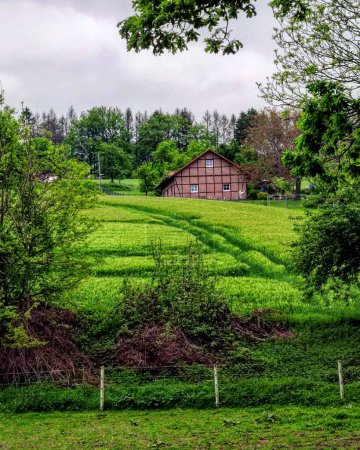 Foto de Un plano vertical de un campo y una casa rural rodeada de vegetación verde. - Imagen libre de derechos