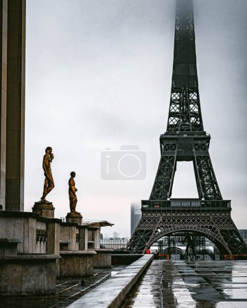Photo for A vertical shot of the Eiffel tower in all its glory from Trocadero square - Royalty Free Image