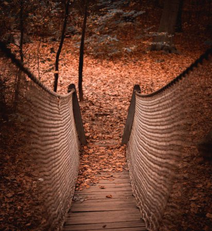 Foto de Un camino de madera a través del parque de otoño con una alfombra de hojas caídas - Imagen libre de derechos