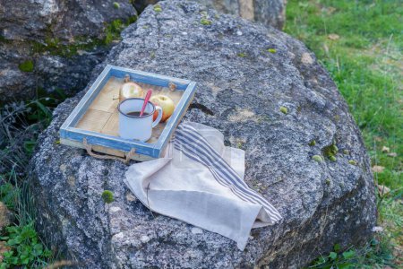 Téléchargez les photos : Plateau avec une tasse de café et de fruits sur une roche dans le champ - en image libre de droit