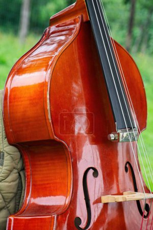 Photo for A wonderful violonchello, also called chello in the garden. This chello is a string instrument made of different types of wood. - Royalty Free Image