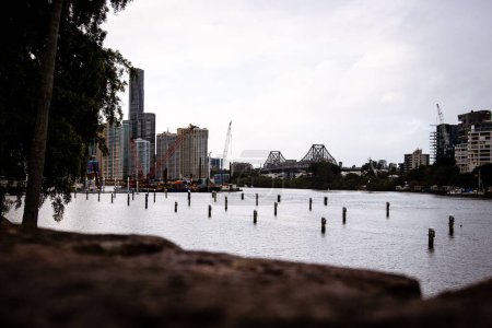 Téléchargez les photos : Un beau plan de Brisbane River avec des bâtiments en Australie - en image libre de droit