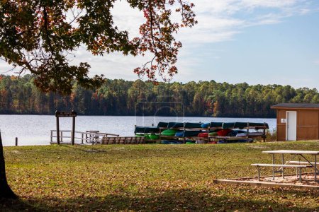 Téléchargez les photos : Une vue panoramique des bateaux de location au bord d'un lac contre les arbres au Cheraw State Park dans le comté de Chesterfield, Caroline du Sud - en image libre de droit