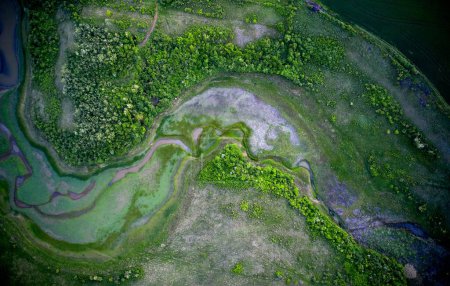 Téléchargez les photos : Un coup de drone de la végétation verte sur les rives d'une rivière sèche pendant la journée - en image libre de droit