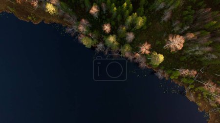 Téléchargez les photos : Une vue du haut vers le bas d'un lac avec de l'eau bleu foncé au milieu d'une forêt dense par une journée ensoleillée - en image libre de droit