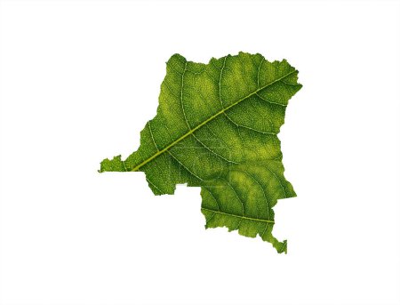 Foto de El mapa del Congo hecho de una hoja verde sobre un fondo del suelo. Concepto ecológico. - Imagen libre de derechos