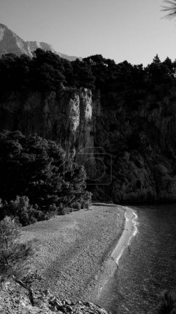 Téléchargez les photos : Un plan vertical en niveaux de gris du sentier entouré d'arbres vers les montagnes, la croatie - en image libre de droit