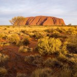 A landscape of a deserted valley on the background of the Uluru