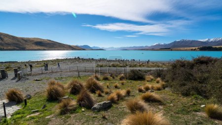 Foto de Un pintoresco plano de un lago rodeado de verdes campos y colinas bajo el cielo azul de Nueva Zelanda - Imagen libre de derechos