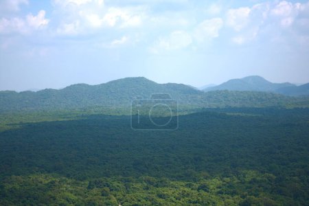 Téléchargez les photos : Vue aérienne de la forêt dans le rocher de Pidurangala (Sigiriya) - en image libre de droit