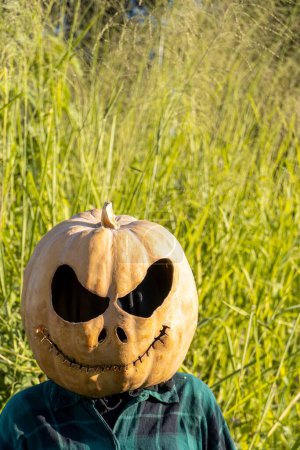 Téléchargez les photos : Plan vertical d'une personne portant une citrouille sur la tête pour Halloween, dans un pré vert le jour - en image libre de droit