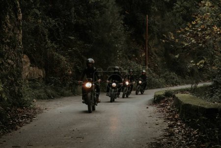Téléchargez les photos : Un groupe de motards impressionnants chevauchant leurs motos à travers une forêt sombre - en image libre de droit