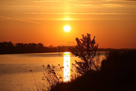 Téléchargez les photos : Une vue sur le paysage du lac entouré d'arbres au coucher du soleil - en image libre de droit