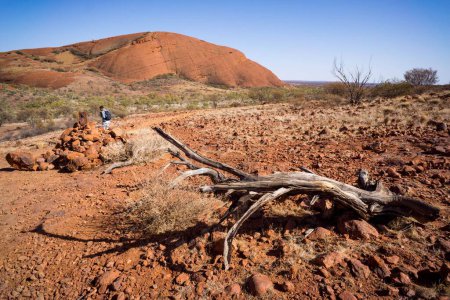 Foto de Una persona que admira el paisaje de un valle desierto en el fondo del Uluru - Imagen libre de derechos