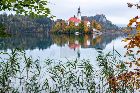 Téléchargez les photos : Une charmante vue sur le château de Bled surplombant le lac de Bled, Slovénie - en image libre de droit