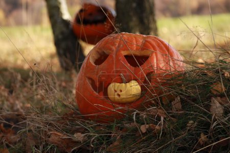 Téléchargez les photos : Un gros plan d'une citrouille d'Halloween dans une forêt - en image libre de droit