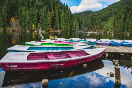 Photo for A group of colorful boats parked on a pier in Piatra Neamt, Romania - Royalty Free Image