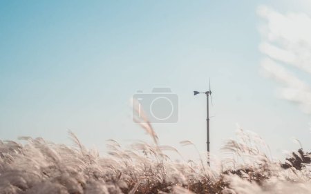 Photo for A scenic view of a windmill standing tall among the silver grass - Royalty Free Image