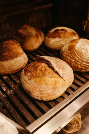Foto de Un primer plano del pan crujiente recién horneado puesto en las rejillas del horno - Imagen libre de derechos