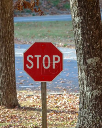 Photo for A vertical closeup of a red stop sign on the streets in autumn - Royalty Free Image