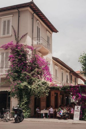 Téléchargez les photos : Plan vertical d'un bâtiment recouvert de bougainvilliers roses dans la ville de Forte Dei Marmi en Italie. - en image libre de droit