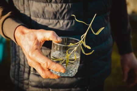 Téléchargez les photos : Un homme tenant un verre d'eau avec de l'herbe fraîche - en image libre de droit