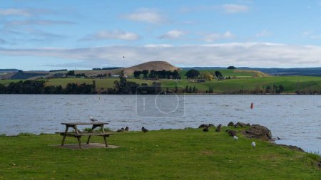 Foto de Una mesa de madera en la orilla de un río con una gaviota en Nueva Zelanda - Imagen libre de derechos